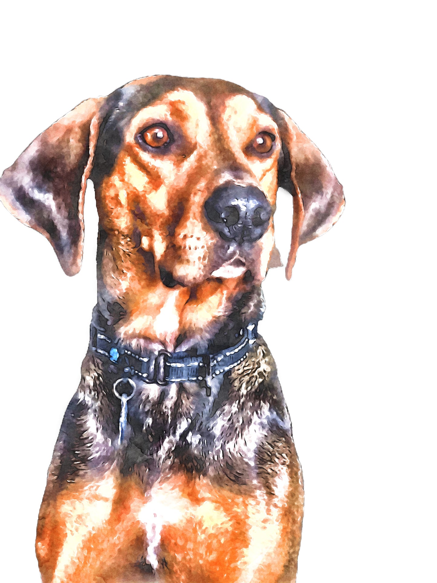 Water Color Pet Portrait