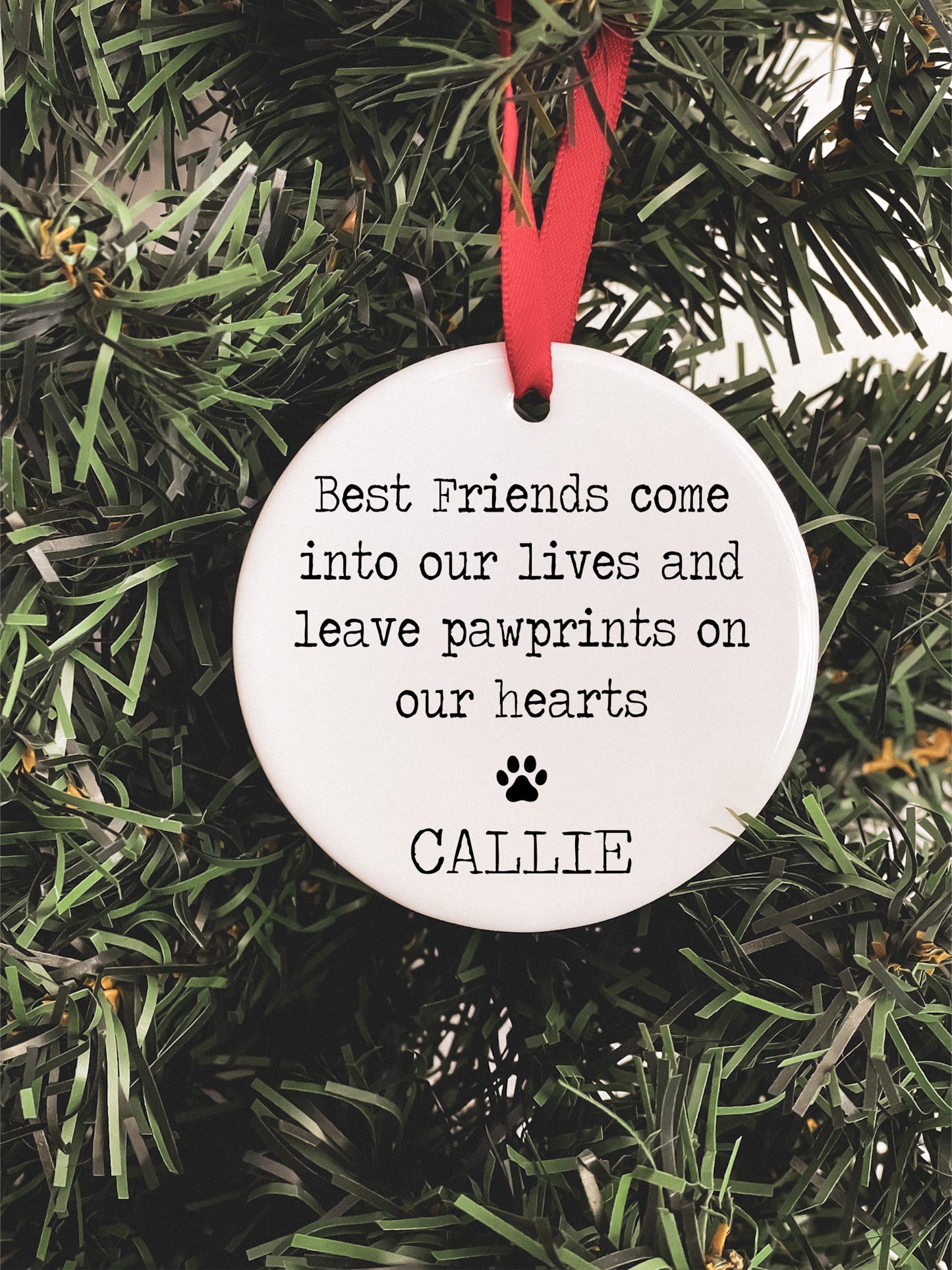 Pet Photo Ornament