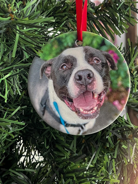 Pet Photo Ornament