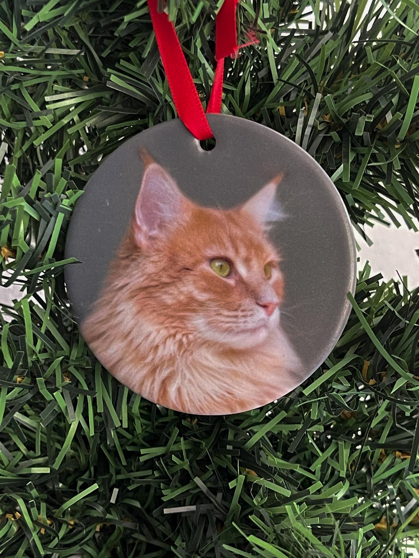 Pet Photo Ornament